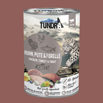 Nourriture humide pour chaton Tundra