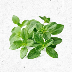 <strong>Thymian</strong><br> <br> • gut für die Verdauung<br>  •  kann Blähungen reduzieren<br> • kann eine gesunde Darmflora unterstützen