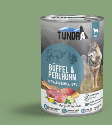 Tundra Büffel Perlhuhn